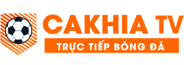 bán đệm bông ép